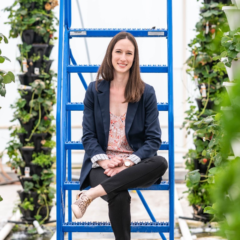 Dr. Lauren Erland, @plantdrlauren, Director of Berry Horticulture Research, was recently interviewed by Jas Johal to discuss the challenges posed by climate change on B.C's berry industry, and how UFV's new BERRi Lab seeks to address this. 🎙️ megaphone.link/CORU1438657330 @goUFV