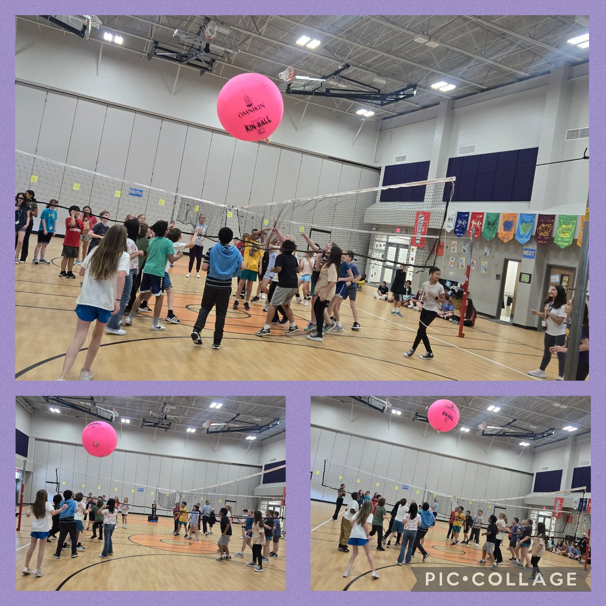 Kristen Toups tweet media