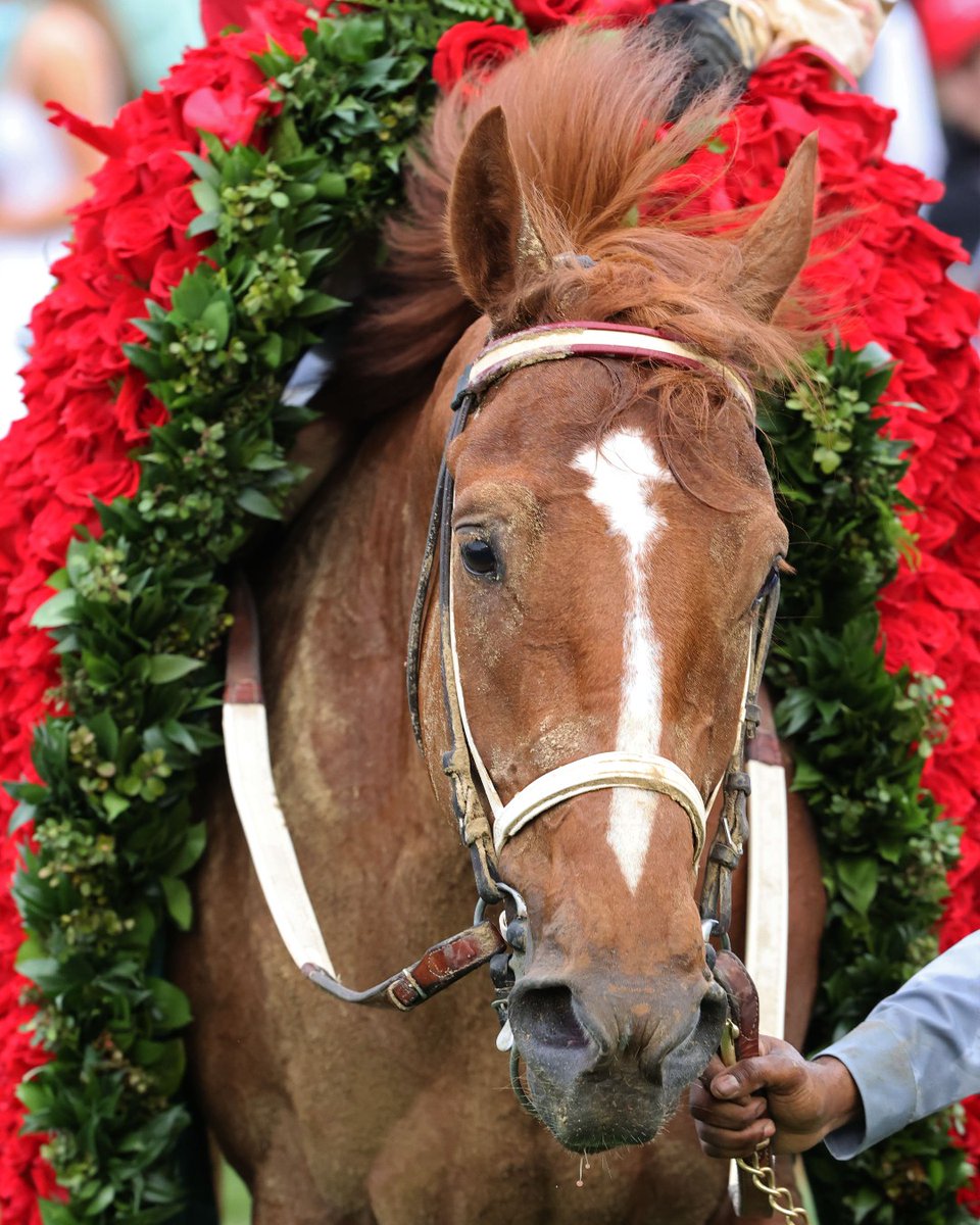 KentuckyDerby tweet picture