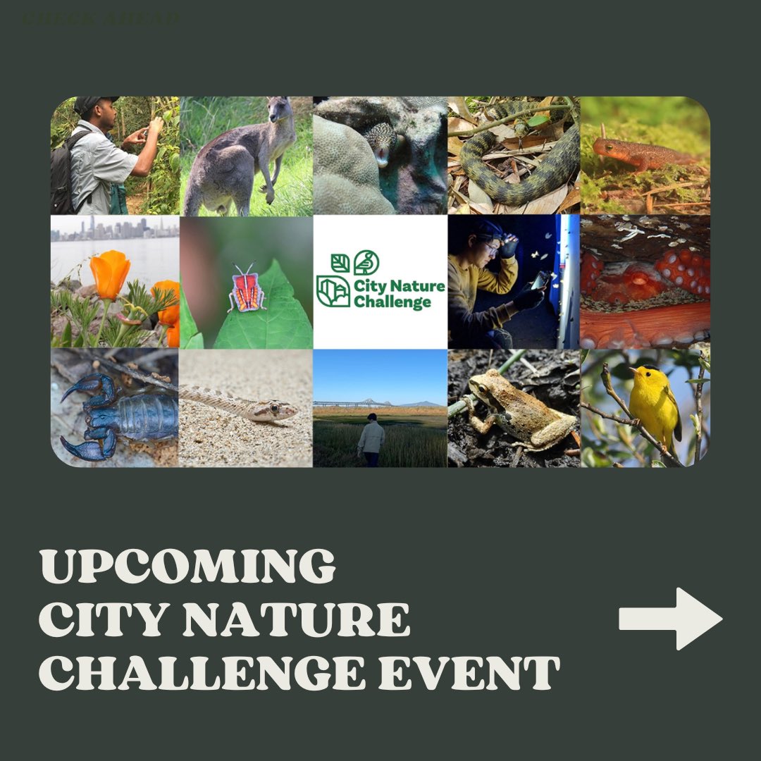 Utah Open Lands tweet media