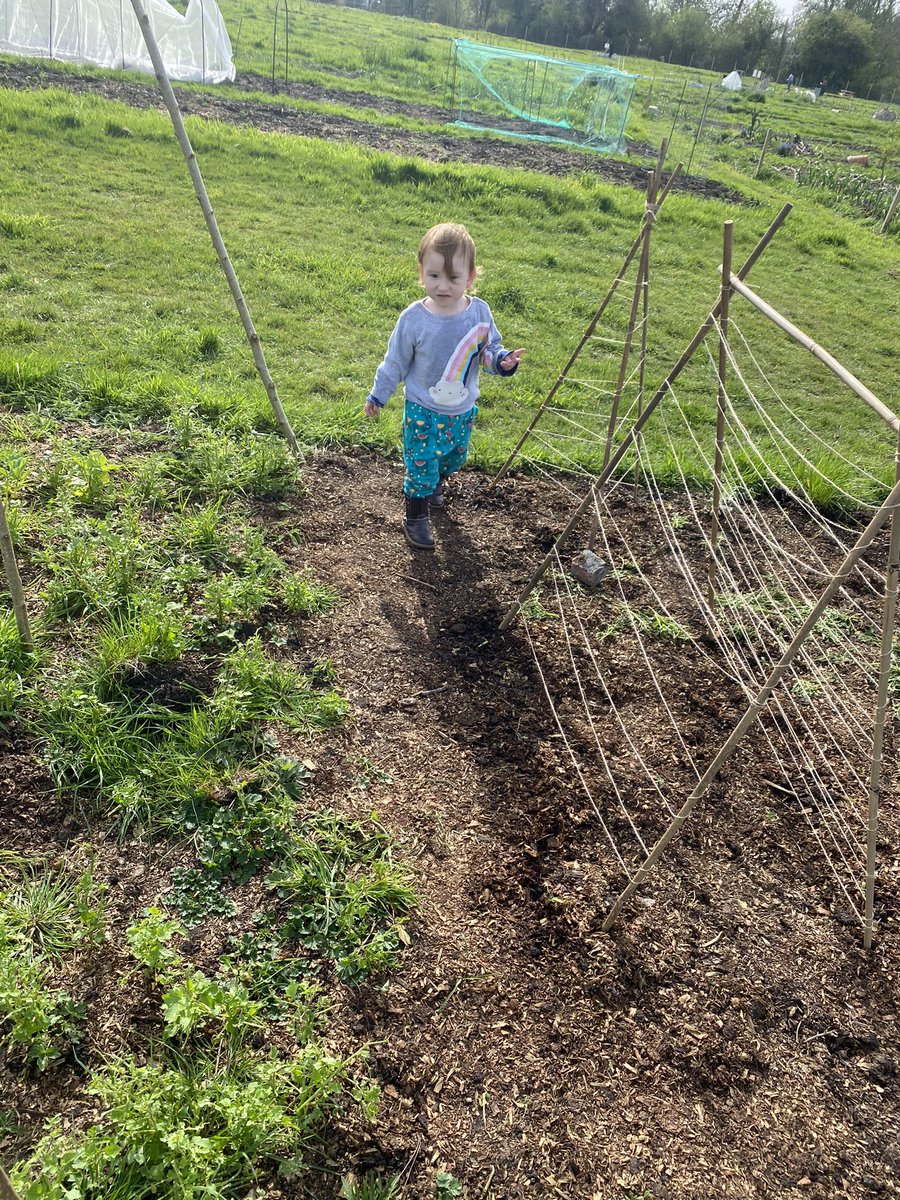 Thank you @RootsAllotments for allowing me the opportunity to teach my daughter how to grow food and to give her the best start in life xx