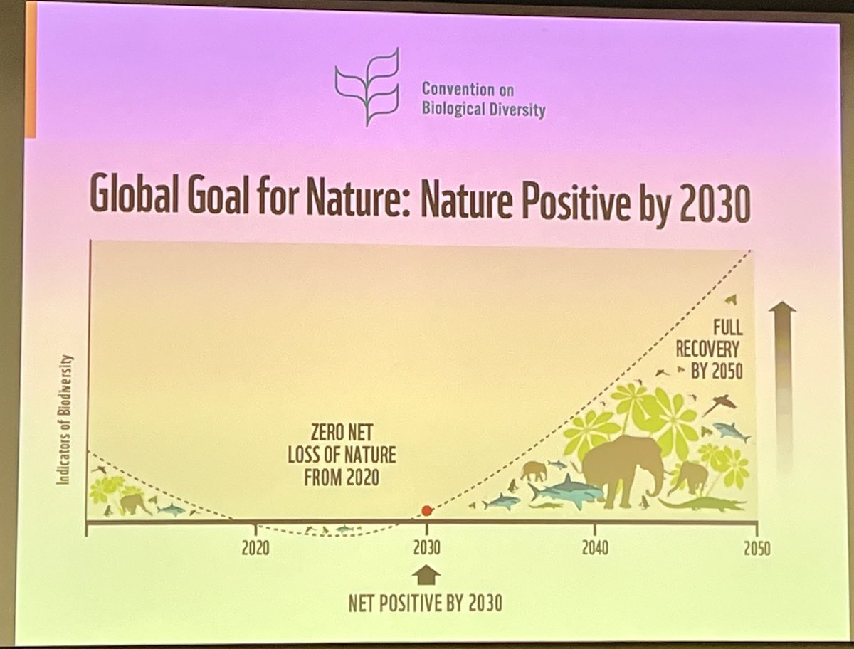 Maailma on sitoutunut biodiversiteettisopimukseen ja siihen, että luontokato pysäytetään 2030 ja luonto elpyy 2050 mennessä. Uskon, että tämä on mahdollista, mutta juuri nyt näyttää, että annettiin julistus, mutta ei haluta toimia. Toivon, että toimiin ryhdytään NYT.