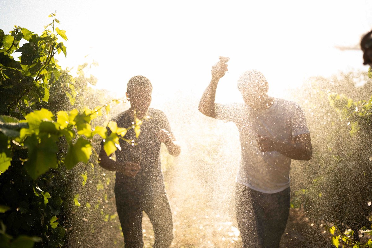 Wine experts reveal why Pays d'Oc IGP stands out in the wine world. Find out what makes these wines so versatile and beloved! 🌟 
vist.ly/33dj4

✍️ @TheBuyer11

#WineDiscovery #PaysdOcIGP #FrenchWines #SouthofFrance #GoodWineBuy