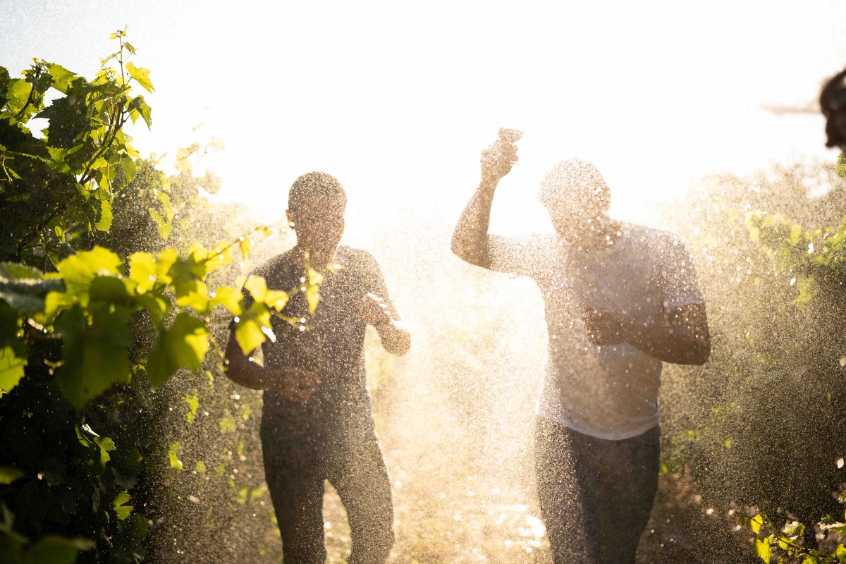 Wine experts reveal why Pays d'Oc IGP stands out in the wine world. Find out what makes these wines so versatile and beloved! 🌟 
vist.ly/33dj4

✍️ <a href="/TheBuyer11/">The_Buyer</a>

#WineDiscovery #PaysdOcIGP #FrenchWines #SouthofFrance #GoodWineBuy