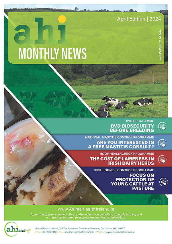 Our April News Sheet is now available. This month we discuss BVD Biosecurity pre-breeding, a free mastitis consult, the cost of lameness in Irish Dairy herds and a focus on protecting young cattle at pasture. Follow the link to read more: bit.ly/49UBd7F