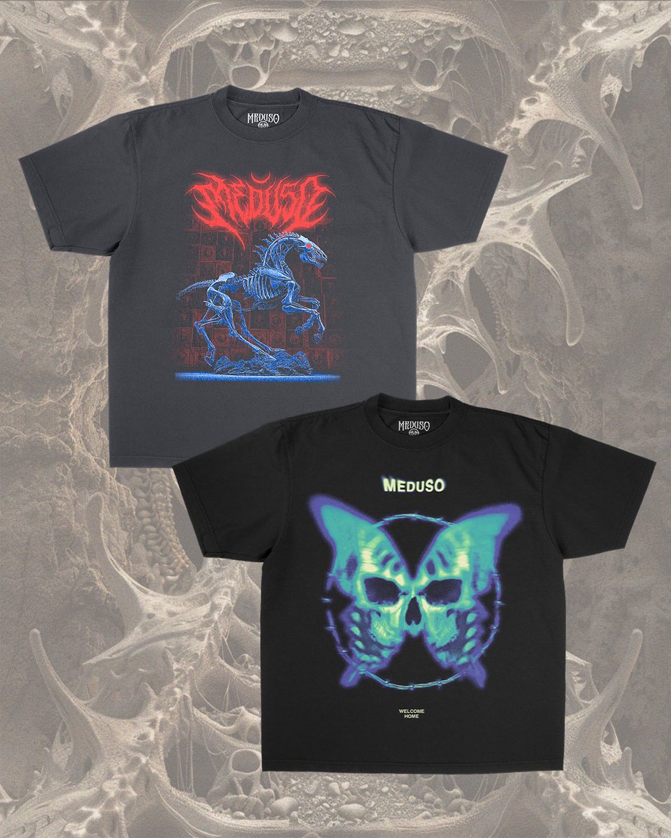 Meduso🪼 tweet media