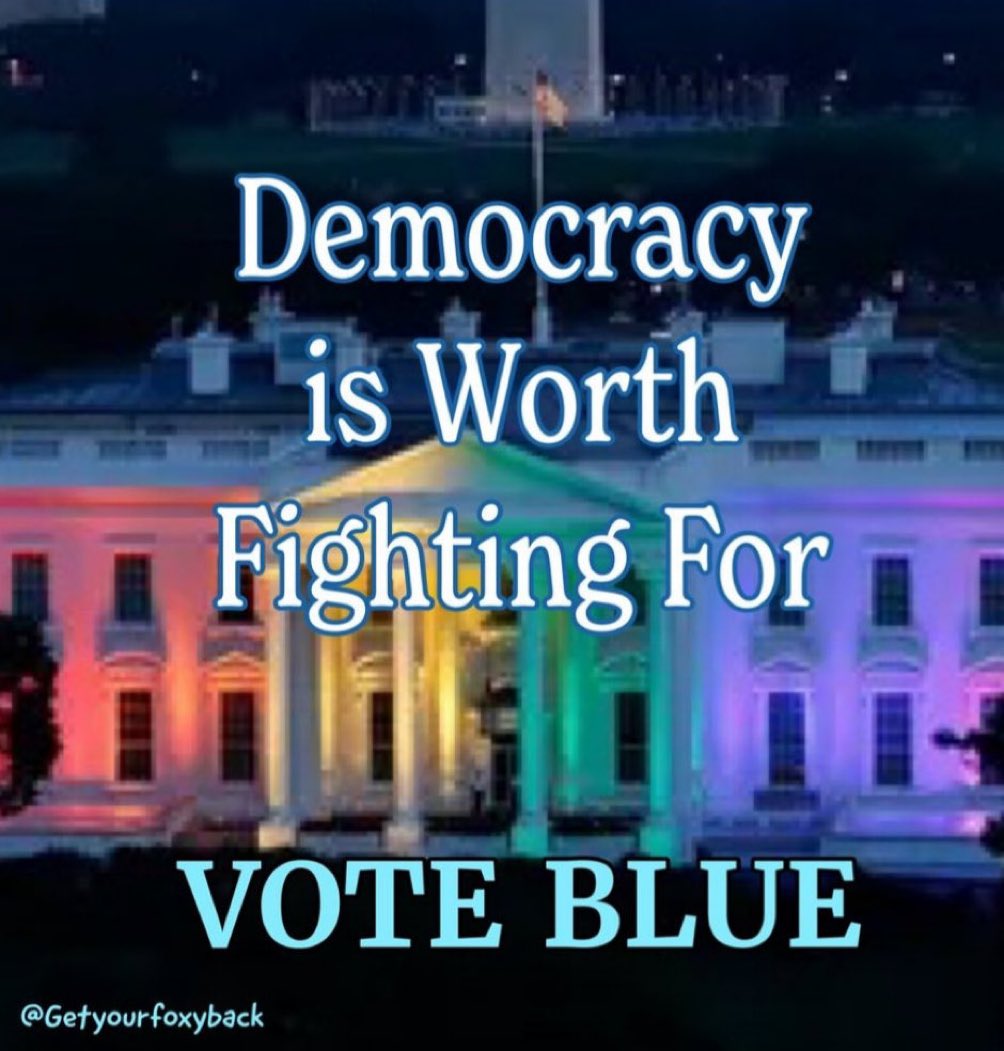 #VoteBlueForDemocracy #Biden2024 💙