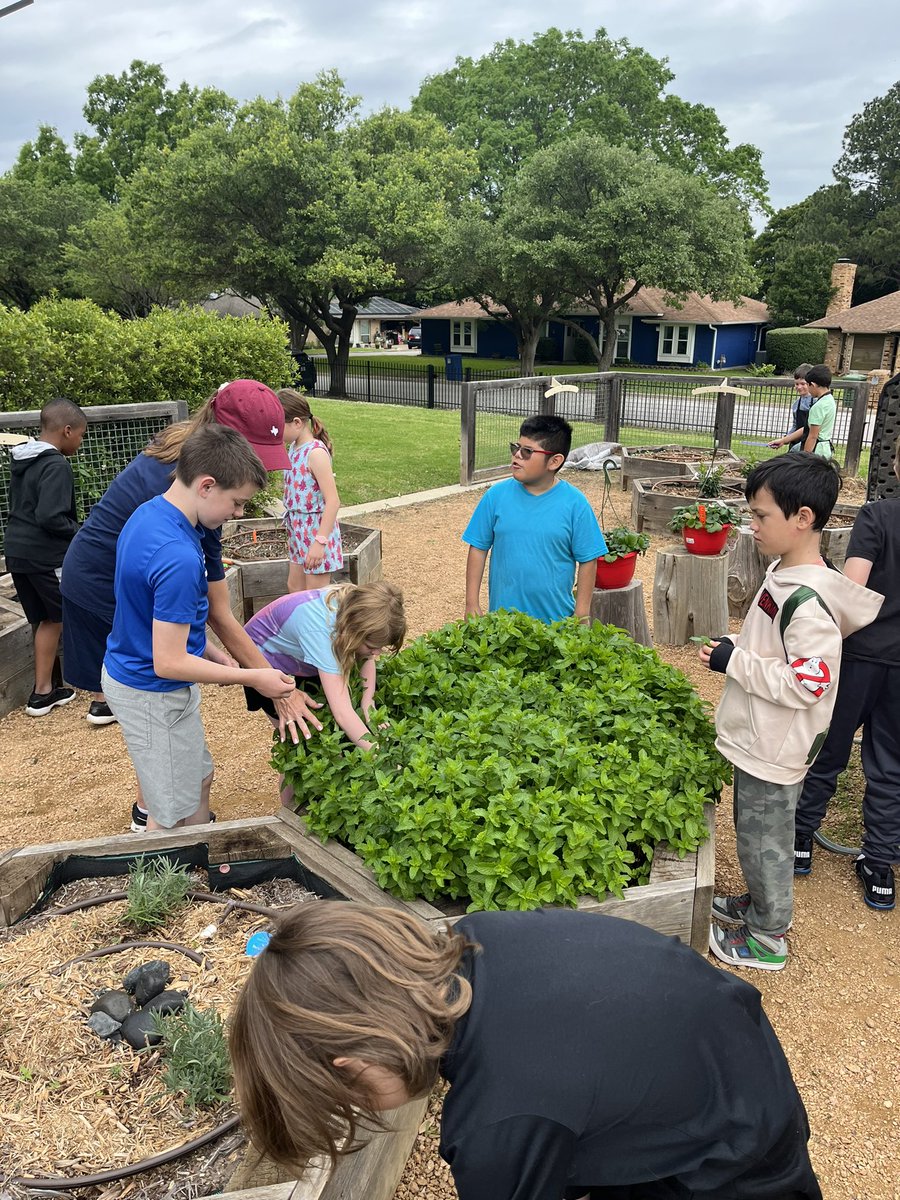 Lelia Lyman tweet media