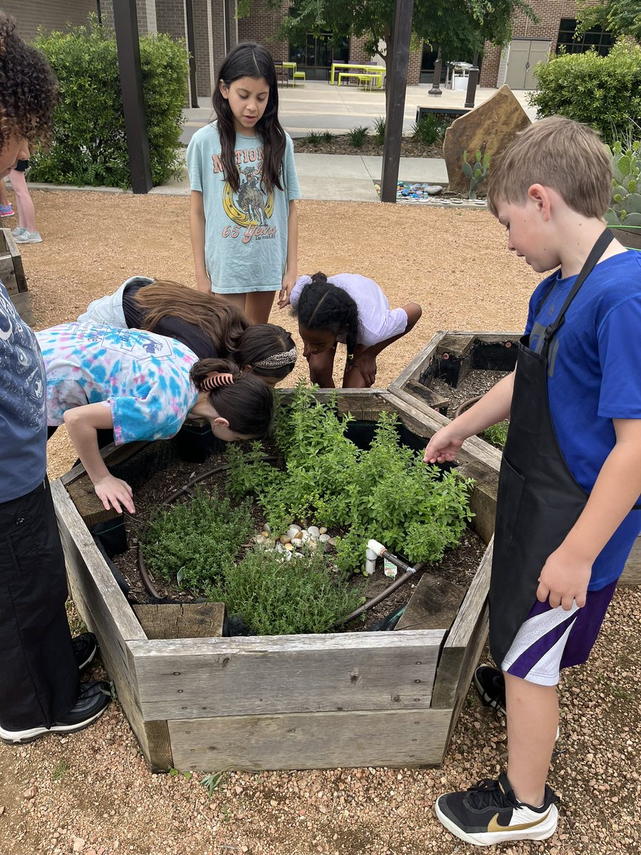 Lelia Lyman tweet media