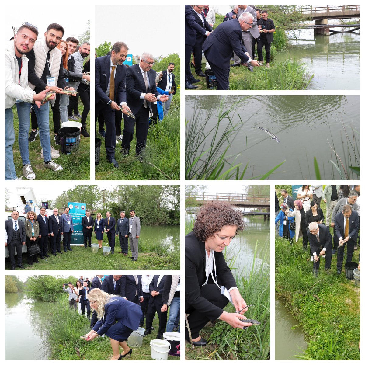 Sinop’ta 500 Adet Mersin Balığı Akarsuya Bırakıldı

Üniversitemiz Su Ürünleri Fakültesi ile Mersin Balıklarını Koruma ve Yaşatma Derneği (MERKODER) iş birliğinde düzenlenen “1. Mersin Balığı Çalıştayı” kapsamında 500 adet mersin balığı Sinop Karasu Çayına bırakıldı.

Tarım ve