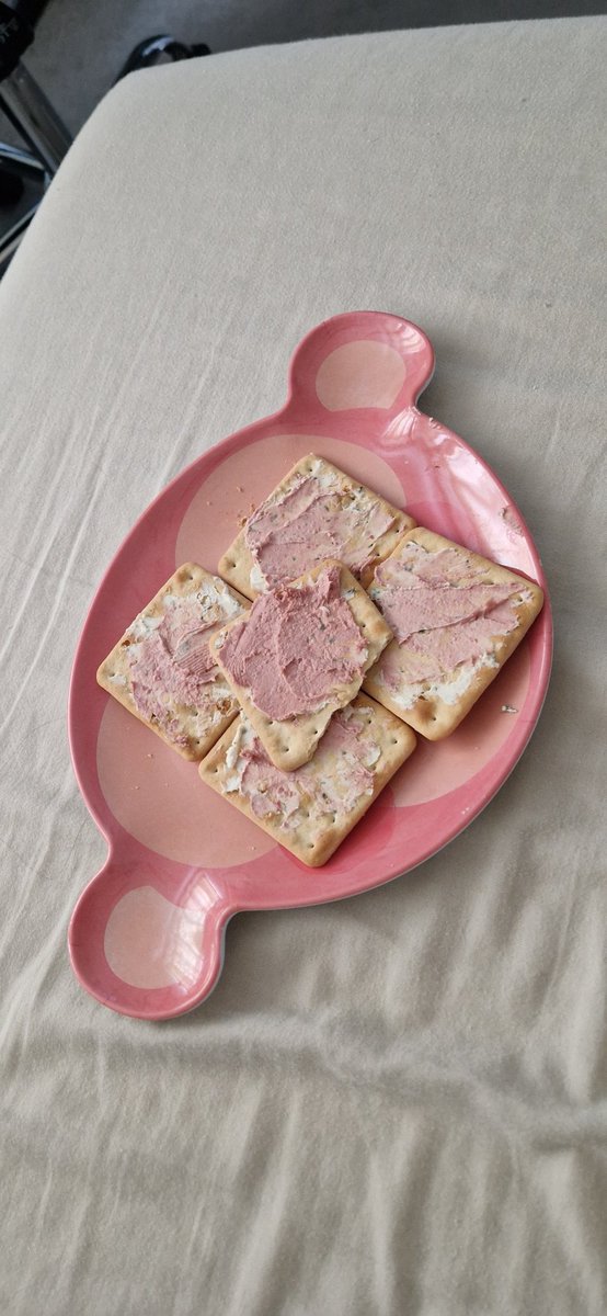 Eating crackers with garlic and herb boursin and brussels pate off a monkey plate is peak