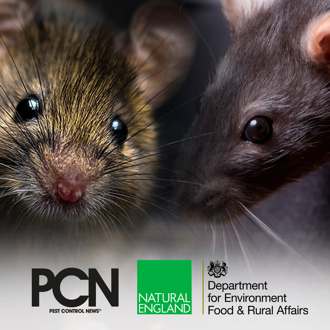 PestControlNews's tweet photo. A Glue Trap Update from DEFRA and Natural England - The Licensing Requirements for the Glue Traps (Offences) Act 2022.
 
For more information, visit -
https://t.co/9B37SRjc3u https://t.co/goRdI0BmKc