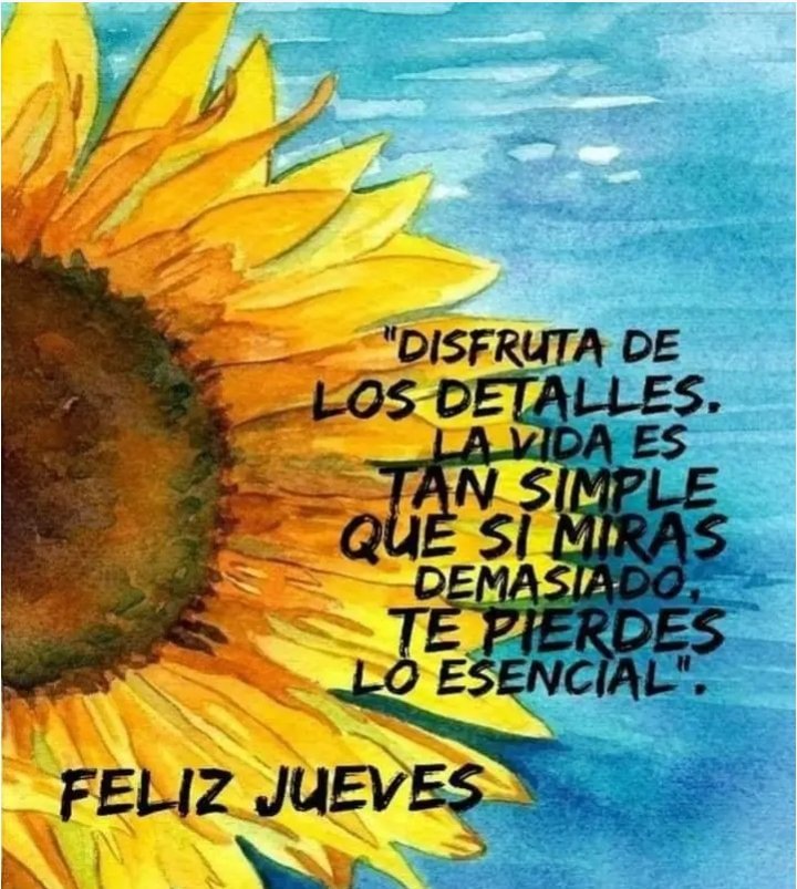 @Lisigarciap @marticalopezna1 @DrZGG1 @Clavel190227 @GarciaPere88603 @7Mararodriguez @rusovelazquez1 Gracias igual para ti, excelente jornada. Seguimos en combate ✨🌻✨ #IzquierdaPinera