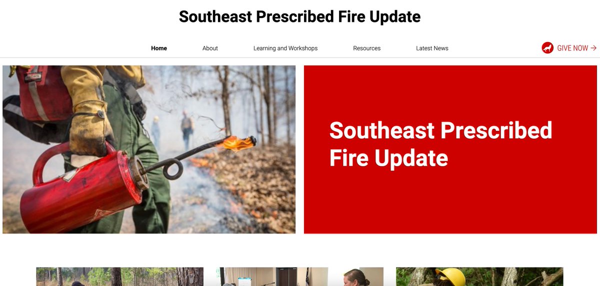 For Wildfire Awareness Month, be sure to check out our website, the Southeast Prescribed Fire Update, for tons of resources for #RxFire practitioners. Using Good Fire to avoid Wildfire.
sites.cnr.ncsu.edu/southeast-fire…