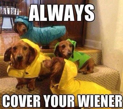 It's raining. 😇🤣🤣🤣🤣🤣🤣🤣🤣🤣🤣