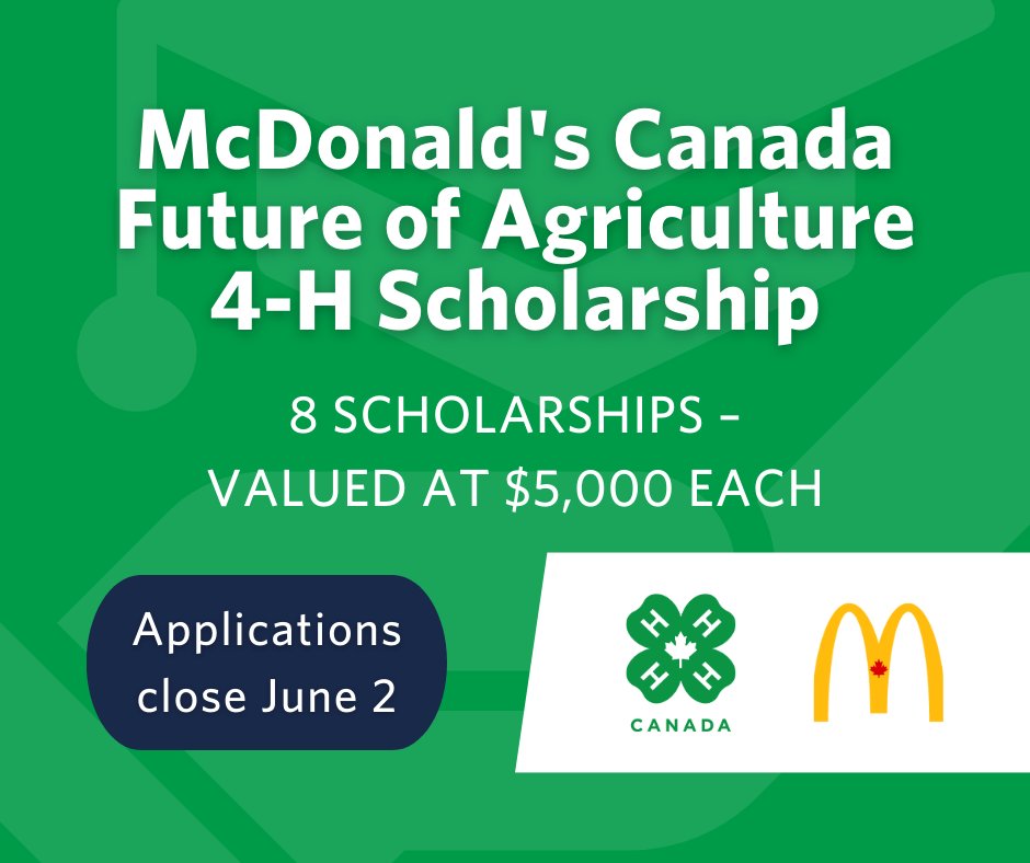 The @McDonaldsCanada Future of Agriculture 4-H Scholarship is back again! 🎉 Eight scholarships, valued at $5,000 each are available. 🎓📚 Learn more and apply today at: bit.ly/3OV30Nl.