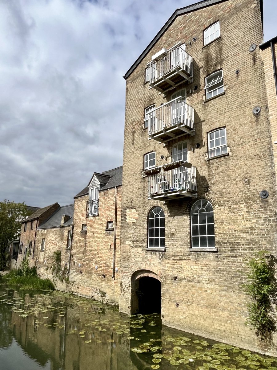 Sunny St. Neots, Cambridgeshire, complete with converted mill and lilly pads 🥰