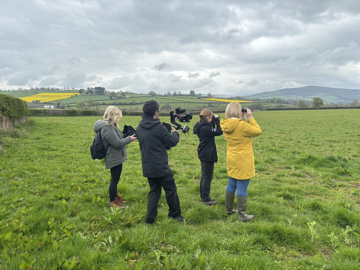 We had a wonderful day filming our curlews with the wonderful @hannahthomasitv . Luckily the birds did not disappoint, neither did the weather, but an arrogant man walking through the breeding territory did, despite being asked to stay away @BannauB @Clwyd_Dee_AONB @bethanbeech2