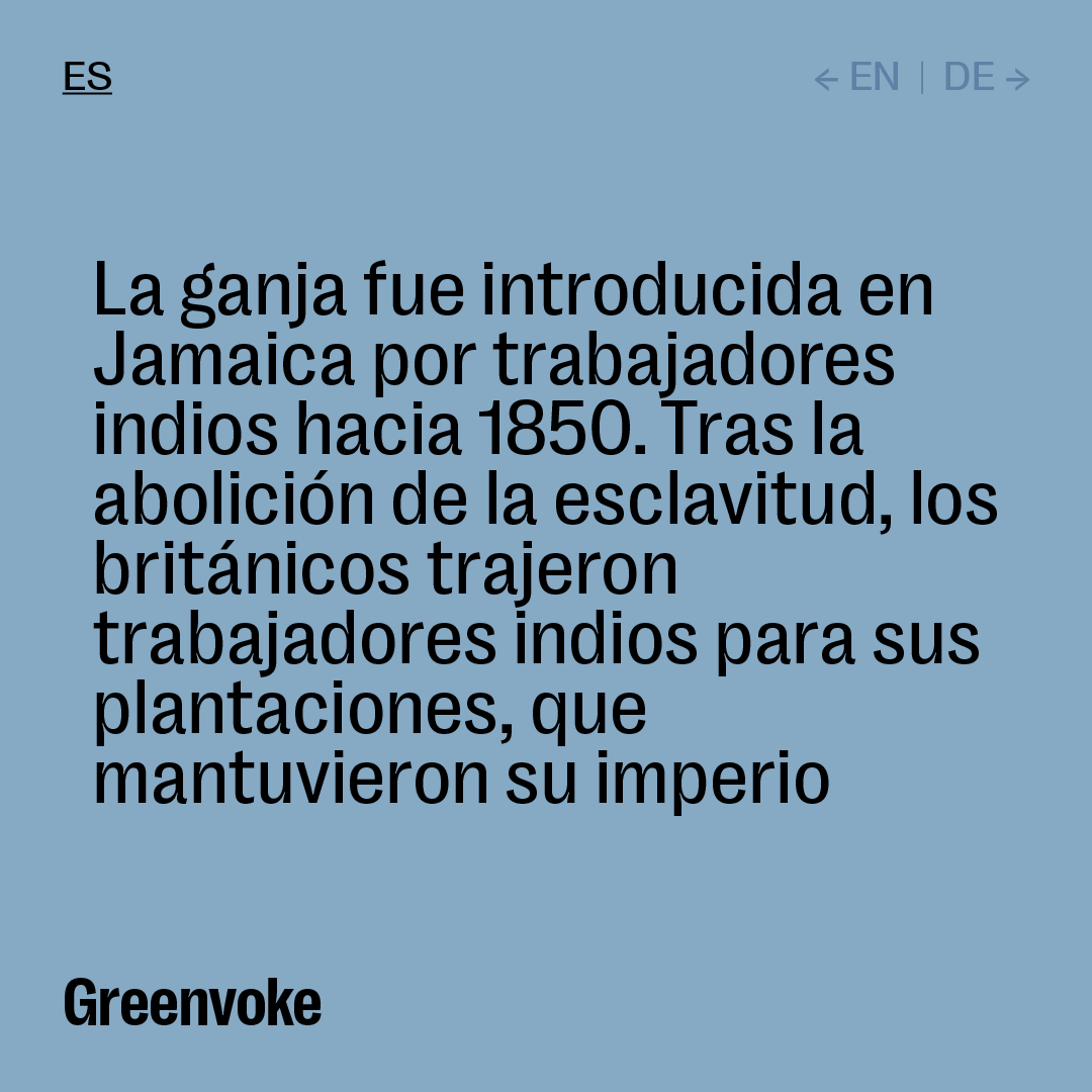 greenvoke's tweet photo. #ganja #bonanzamarimbera #Jamaica #rasta https://t.co/UrRtIkjjML