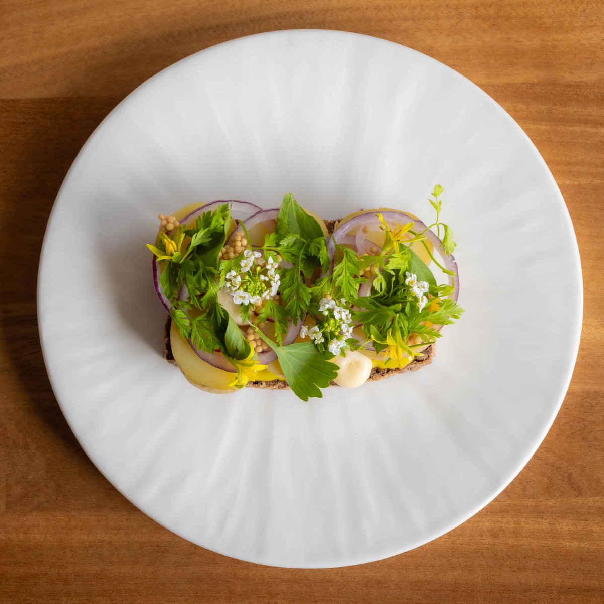 Mads Malec Kobborg tweet media