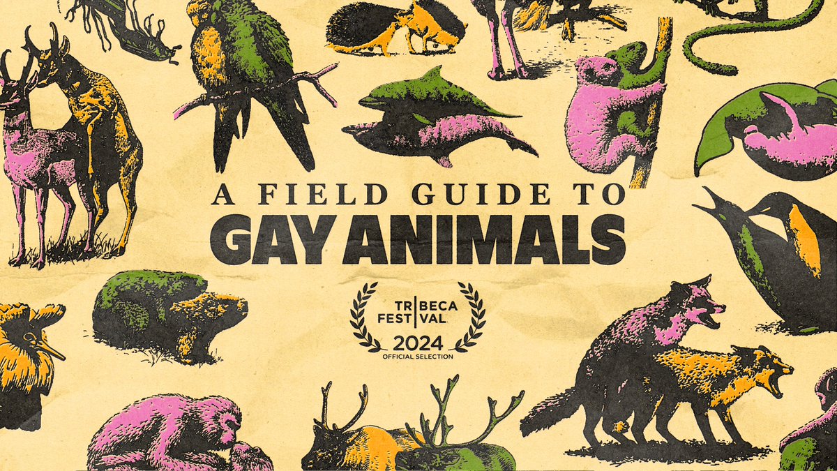 Introducing: A Field Guide to Gay Animals 🌈 Premiering as an Official Selection of the 2024 @TribecaAudio Festival. New series launches this June — listen to the trailer now: link.chtbl.com/coming-soon-fi…