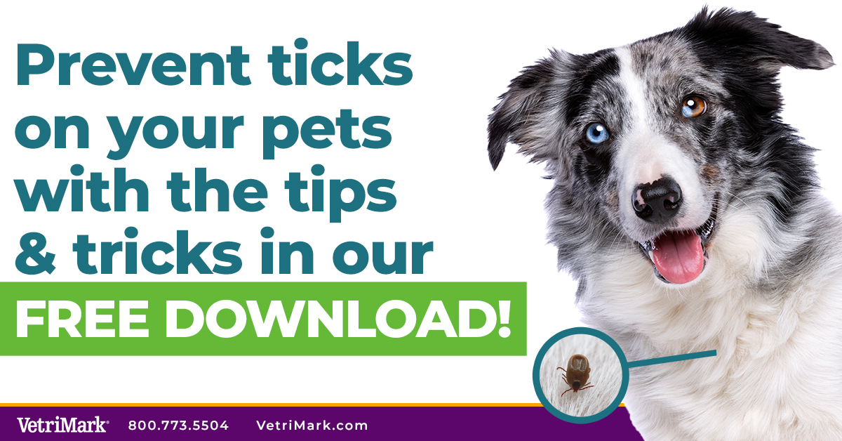 In honor of Prevention of Lyme Disease in Dogs Month, we have compiled some helpful tips and tricks for preventing ticks on your pets. Download the PDF Today! bit.ly/3U3nAwI #vetrimark #vetmed #veterinary #vetclinic