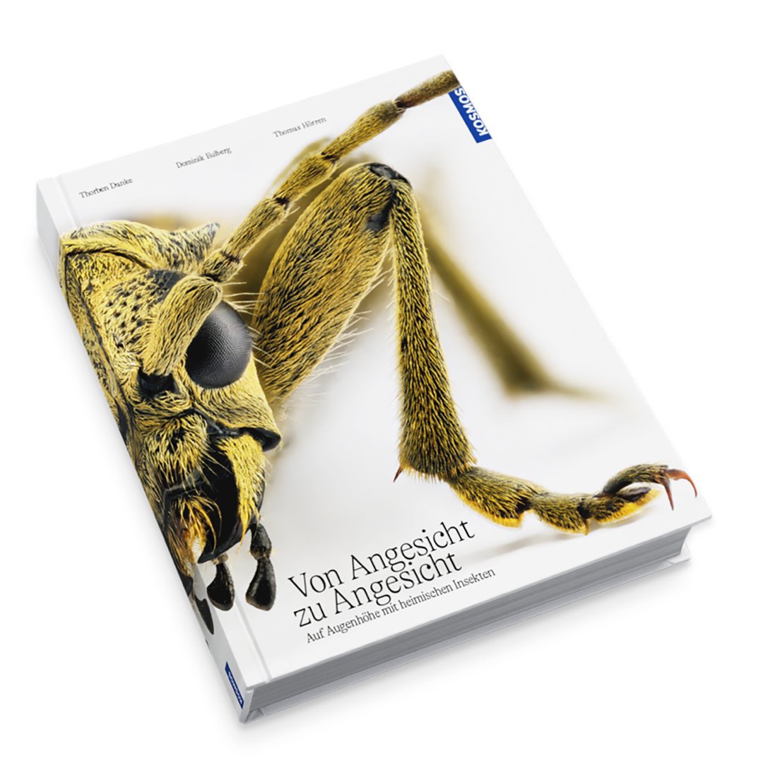 sagaOptics's tweet photo. Am 23. September diesen Jahres erscheint endlich unser großes Insektenbuch beim Kosmos-Verlag, an dem wir fast sieben Jahre getüftelt haben. Es war uns ein tiefes Anliegen, ein Buch zu erschaffen, welches nicht das hundertste Insektenbuch auf dem Markt ist, sondern etwas Künstlerisches, Avantgardistisches, das die überbordende Schönheit der Künstlerin Natur bestmöglich transportiert. Der vielfach ausgezeichnete Grafikdesigner Götz Gramlich, Mitglied der renommierten Alliance Graphique Internationale, brachte die Inhalte in eine passend reizvolle Form.

Auf 208 Seiten wollen wir euch in die Wunderwelt der Insekten mitnehmen und diesen unglaublich faszinierenden Wesen auf Augenhöhe begegnen... Oder wie es die geniale Rachel Carson schon so treffend formulierte: „Je klarer wir unsere Aufmerksamkeit auf die Wunder und Realitäten des uns umgebenden Universums richten können, desto weniger Zerstörungslust werden wir empfinden".

#insekten #biodiversität #entomologie #entomology #macrophotography #makrofotografie #insects #buch #biodiversität

https://t.co/eStXhJBe2a