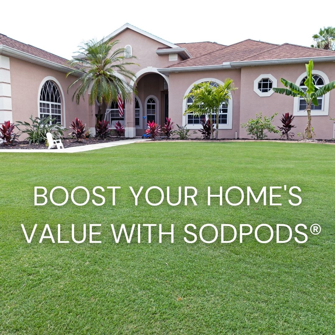 Did you know? 🌿 A beautiful, well-kept lawn could boost your home's value by 10-15%! 🏡

Keep your lawn looking lush with SodPods®—perfect for filling those bare spots and repairing damaged areas.

trysodpods.com 

#sodpods #lawn #lawnmaintenance #lawncare #home #grass
