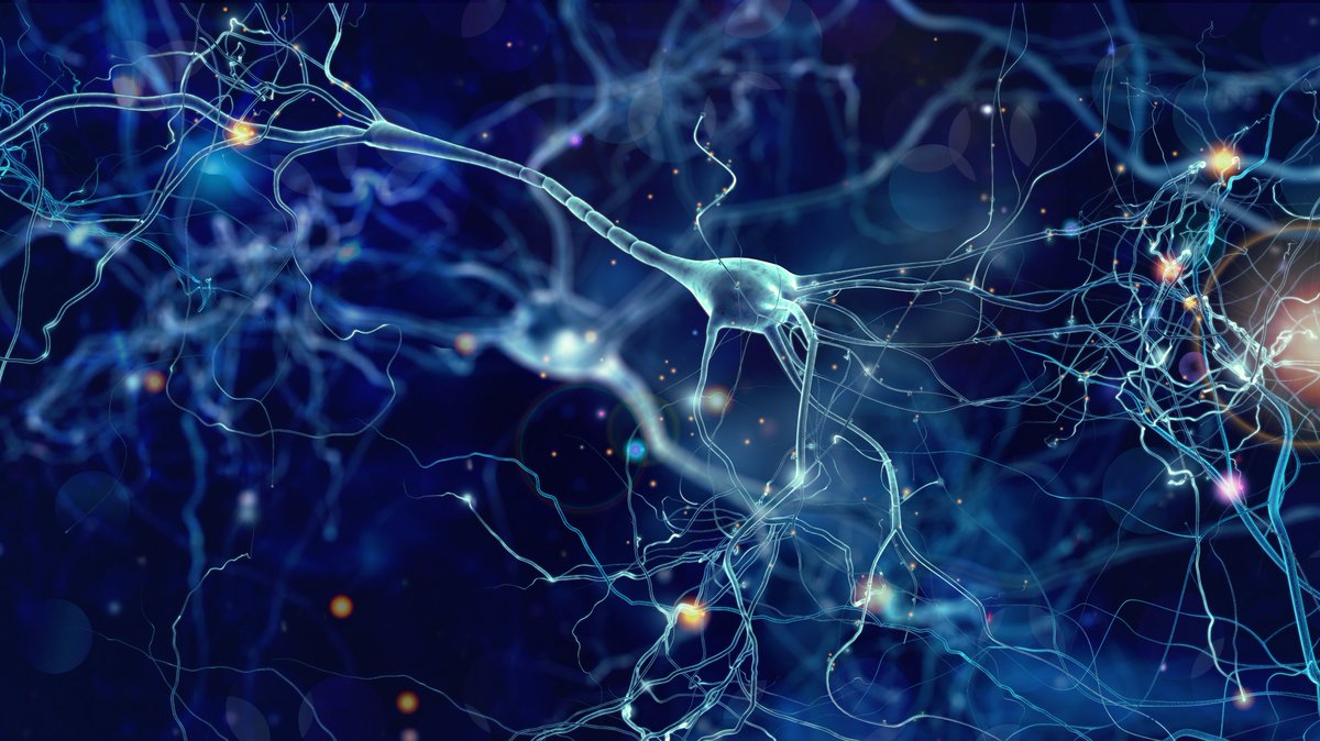 Scientists use several approximations to model #neuronal electrophysiology. This new paper proposes a method for #data assimilation to reliably infer ion channel currents in neurons. It quantifies error even when the underlying model is unknown. 🧠

📝 go.aps.org/3WaBznl