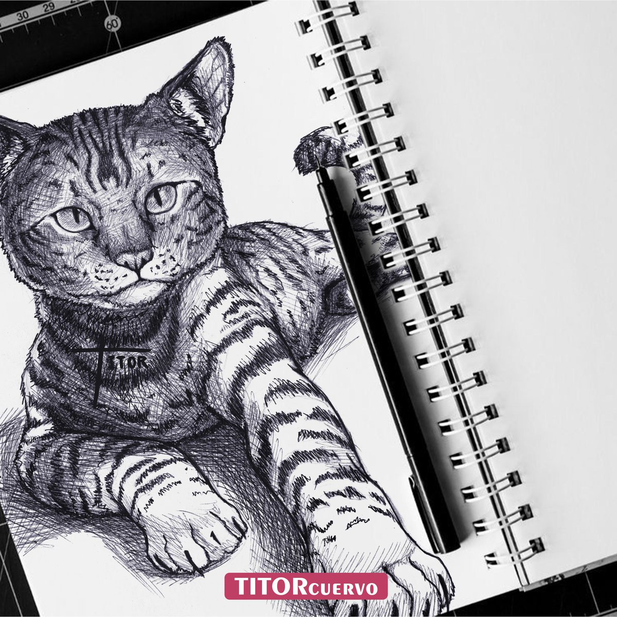 En la quietud de la tarde, el gato se yergue como un guardián silencioso. 🖋️🎨🐱✨ #sketch #sketchbook
