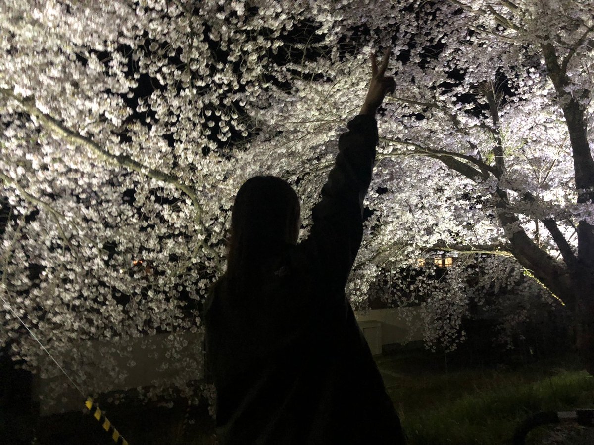 a0nupi's tweet photo. 何年か前は自分の稼いだお金で親にご馳走したり好きに呑んだり旅行したり美味しいもの食べるのが何よりだった😌それはそれでその時の最高の幸せで、今は必死��なりながらも子育てと家事しながら一緒に過ごせる大切な家族がいて���せを感じている🍀家庭を守れるようにゆっくり自分も成長していかないとっ https://t.co/PjTgQWdQJa