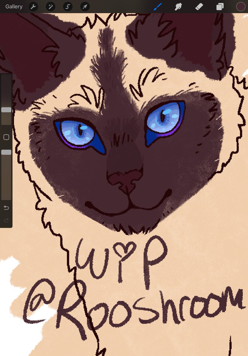 Rooshroom's tweet photo. Work in progress! This is Mountainflower. An old OC that I’ve been remembering lately, I kinda revisited her design and went big in the decision to make her a purebred.. it adds to the Drama of my OC warrior cat lore delusions. https://t.co/hUrsoXWEAR