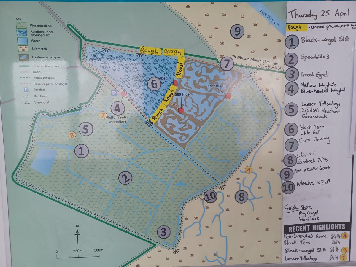 RSPBFrampton tweet picture