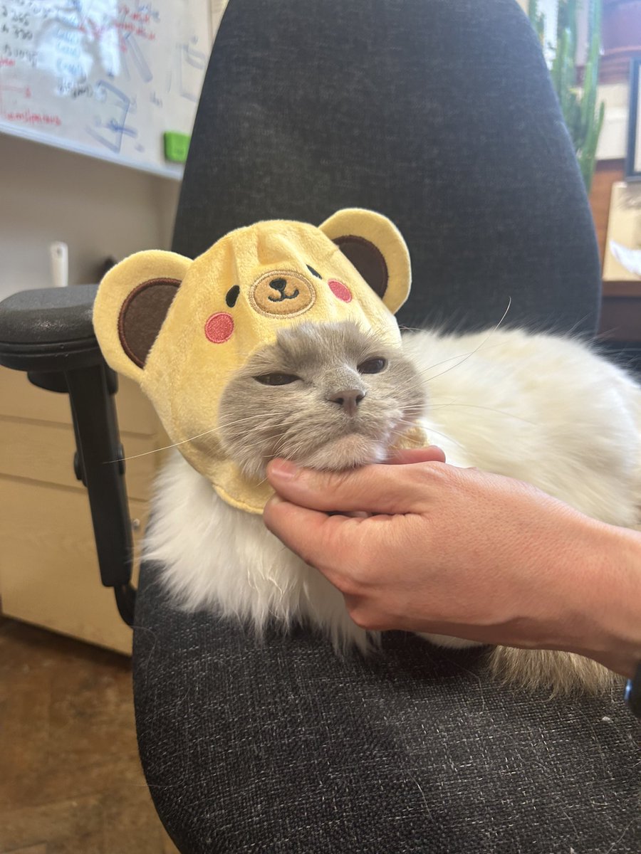 SalGo Team tweet media