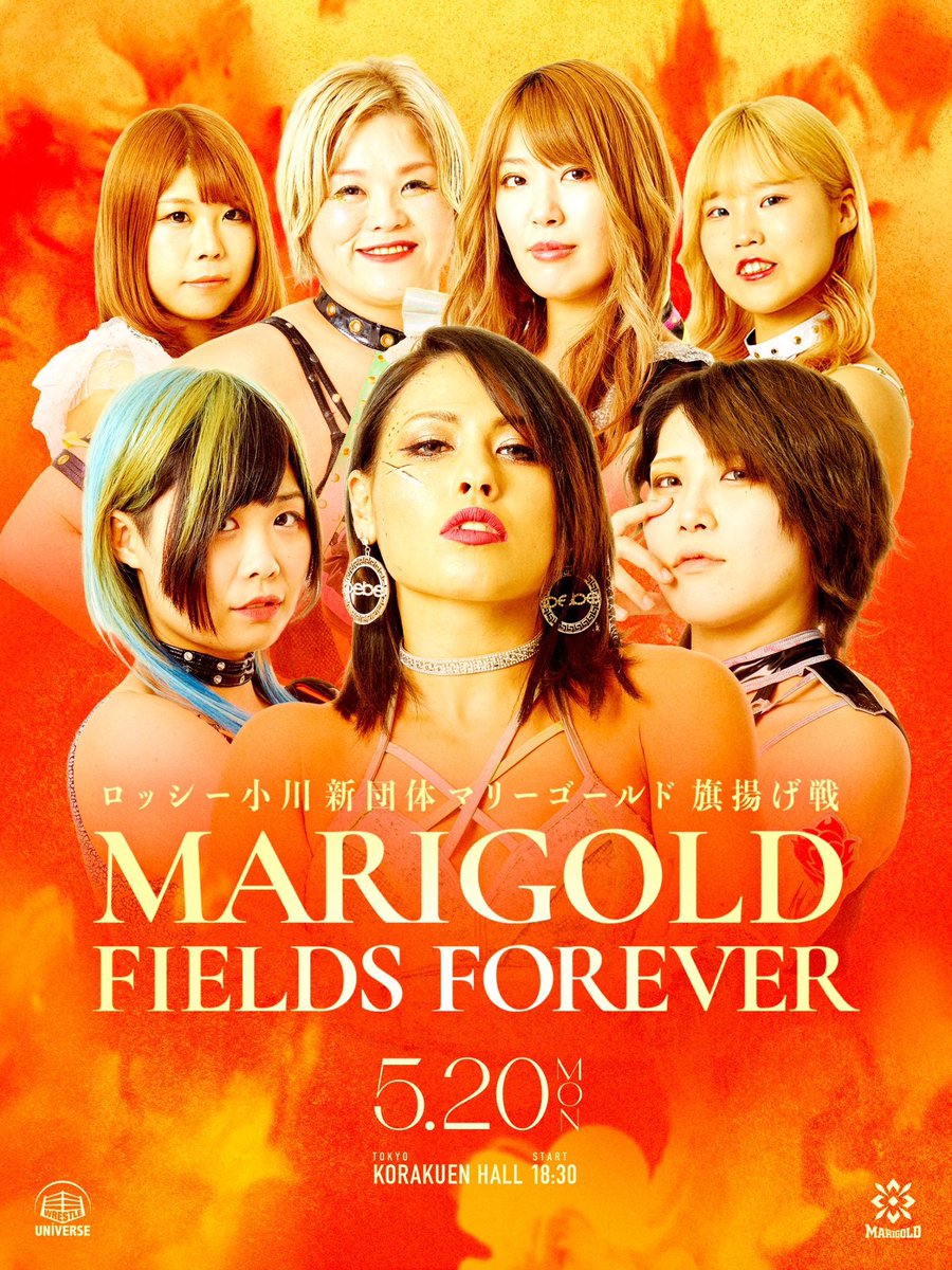 May 20th it’s Marigold Fields Forever, from a sold out Korakuen Hall! Catch the show live on wrestle-universe.com/en! #MARIGOLD dsf-marigold.com