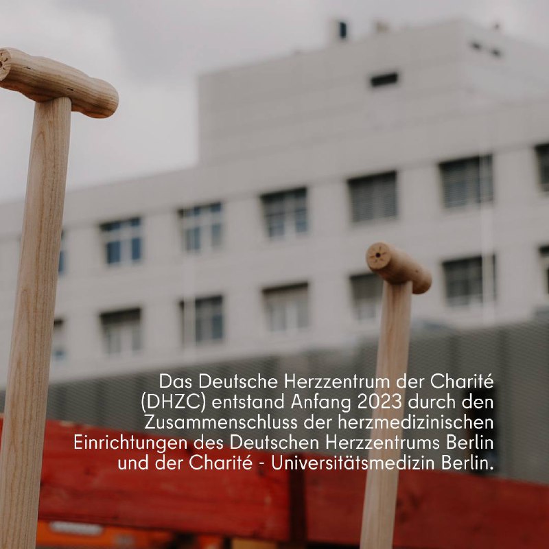 Mit dem 1. Spatenstich ist heute das Neubauprojekt für das @dhzcharite am Virchow-Klinikum gestartet! Der Neubau ist mit dem modernen Design & der anspruchsvollen Infrastruktur richtungsweisend für die Herzmedizin der Zukunft. Ein Meilenstein für den Wissenschaftsstandort Berlin!