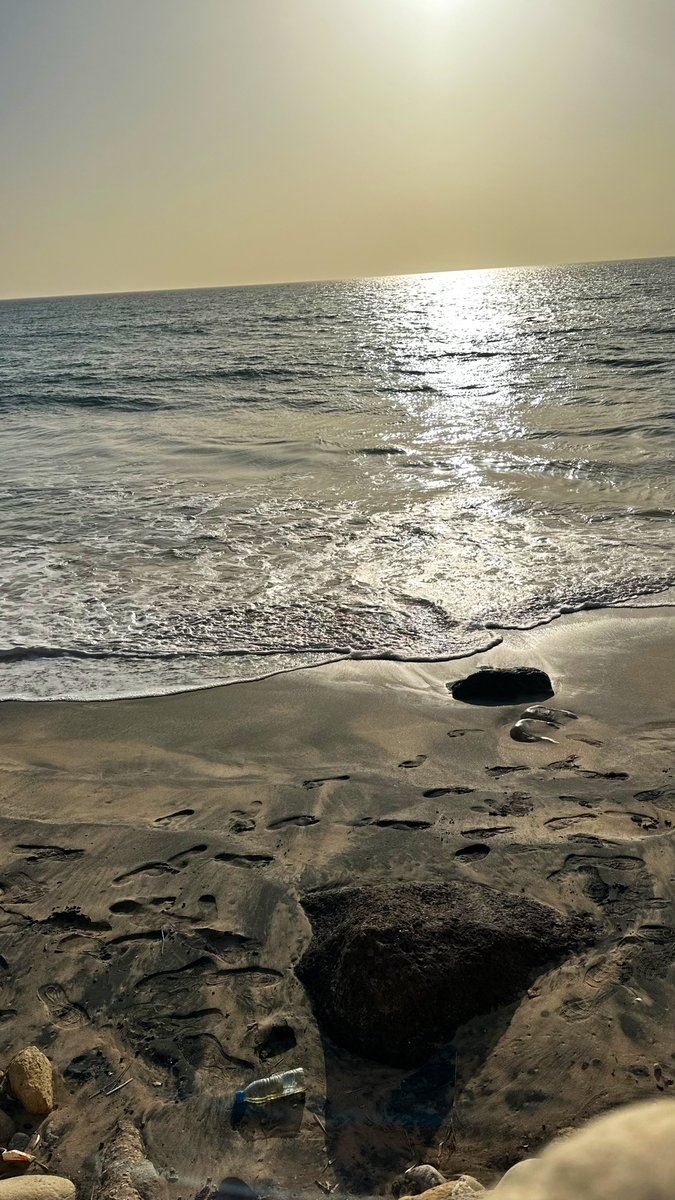 TontonVert's tweet image. Répondez avec une photo que vous avez prise, et qui ne contient ni personnes ni mots. Faisons un fil calme.
Malheureusement Il y a un intrus 😢