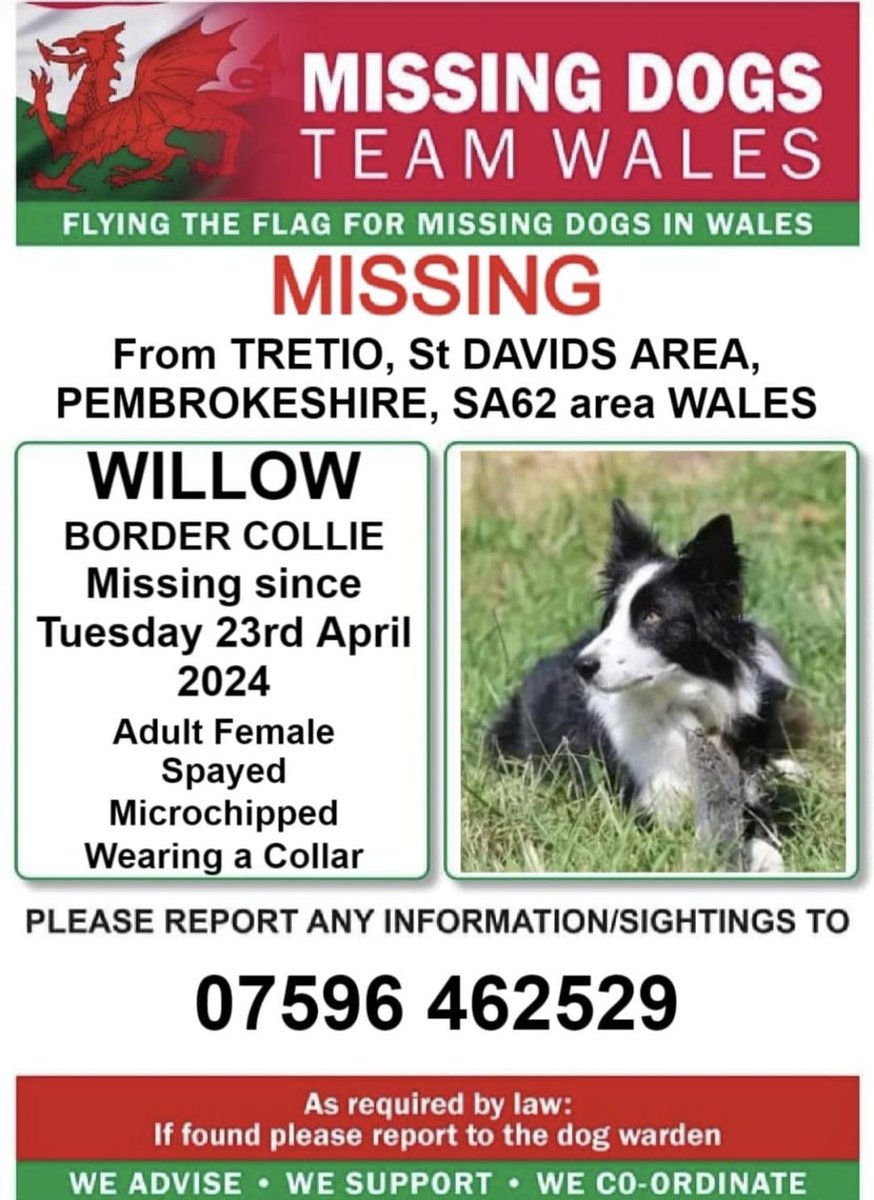 ‼️SIGHTINGS ONLY NEEDED ‼️

💥WILLOW SPOOKED AFTER ELECTRIC FENCE SHOCK IN #TRETIO, #STDAVIDS AREA #PEMBROKESHIRE #SA62 #WALES 
ON TUESDAY 23rd APRIL 

💥WILLOW IS MICROCHIPPED & SPAYED SO PLEASE LOOK OUT FOR HER ...