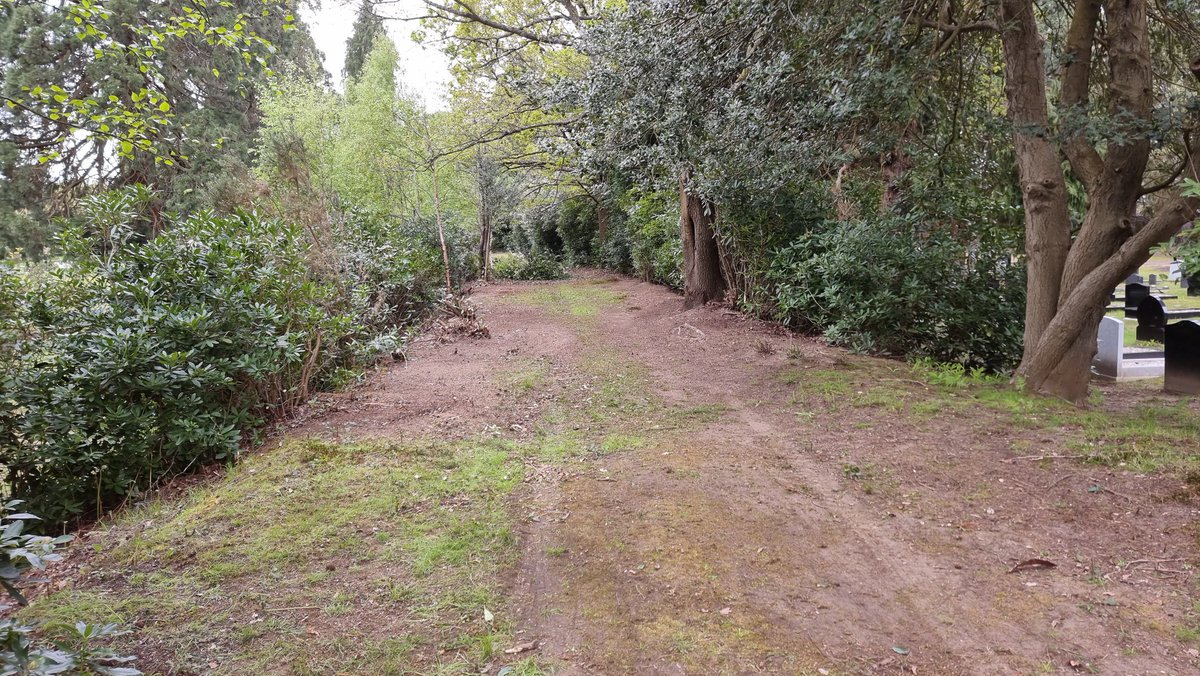 Brookwood had its first corporate day of the year yesterday. Thanks to the RPS Energy team for their great work in clearing the overgrown Railway Av.