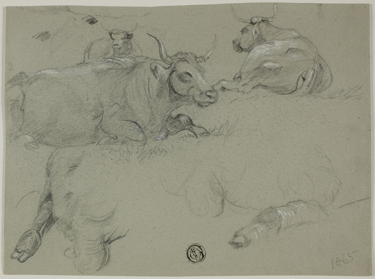 Sketches of Cows artic.edu/artworks/85657/