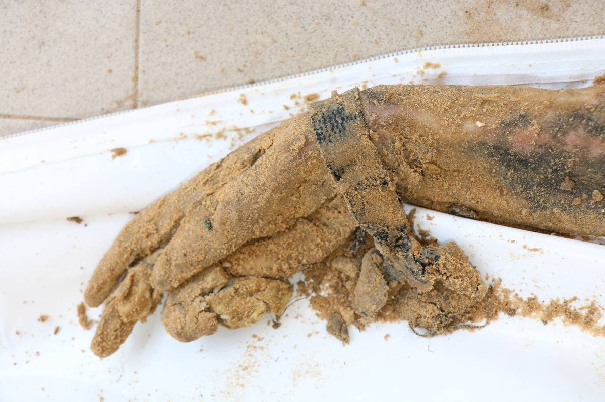 Tarih kitaplarında artık anlatılacak en büyük katliamlardan biri.

GAZZE KATLİAMI..!!