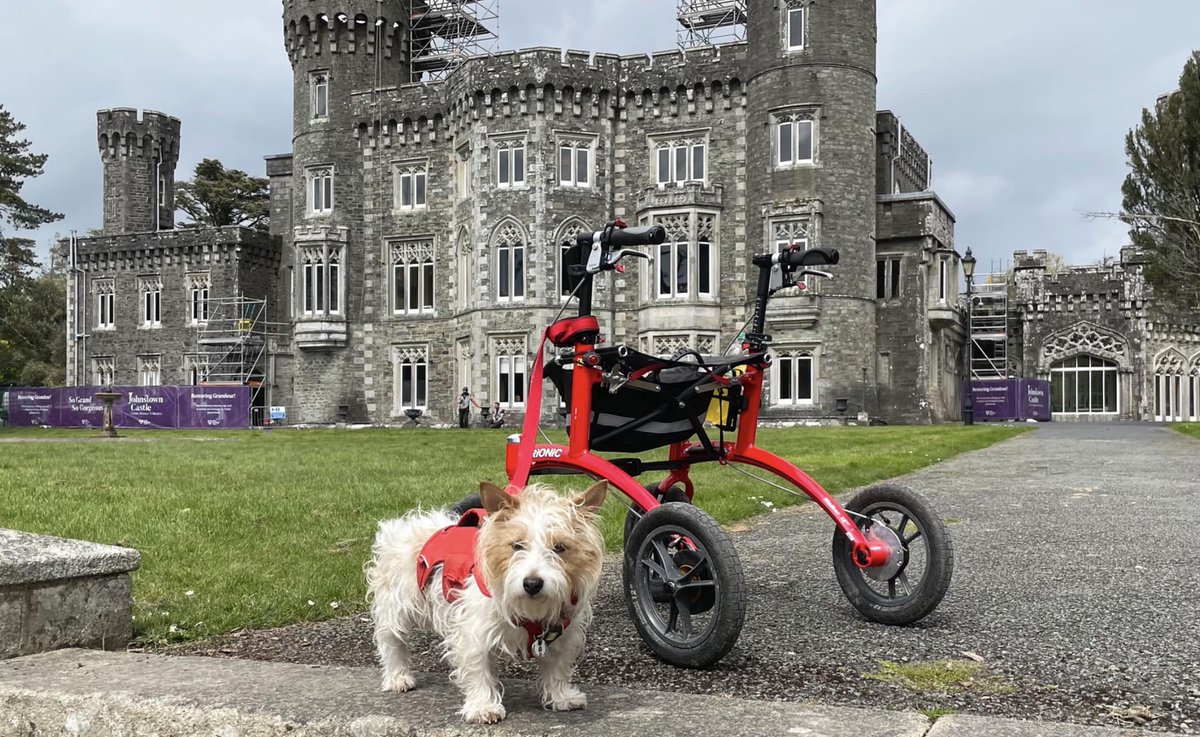 Trionic walkers are dogs best friends!

#trionic #walker #rollator #outdoor #adventure #travel #giftidea #disability #accessibility #parkinsons #exploring #camping #hikking #trails #Thursdaythoughts #health #ThursdayMotivation #ThursdayMood #Nature #mobility #doglover #dogs #walk