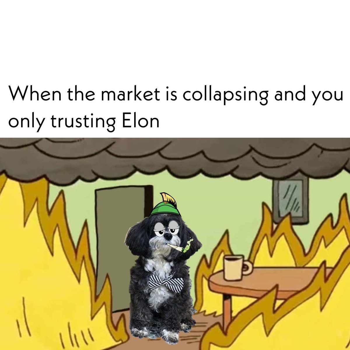 Time to bring the dogs out <a href="/elonmusk/">Elon Musk</a> 👀