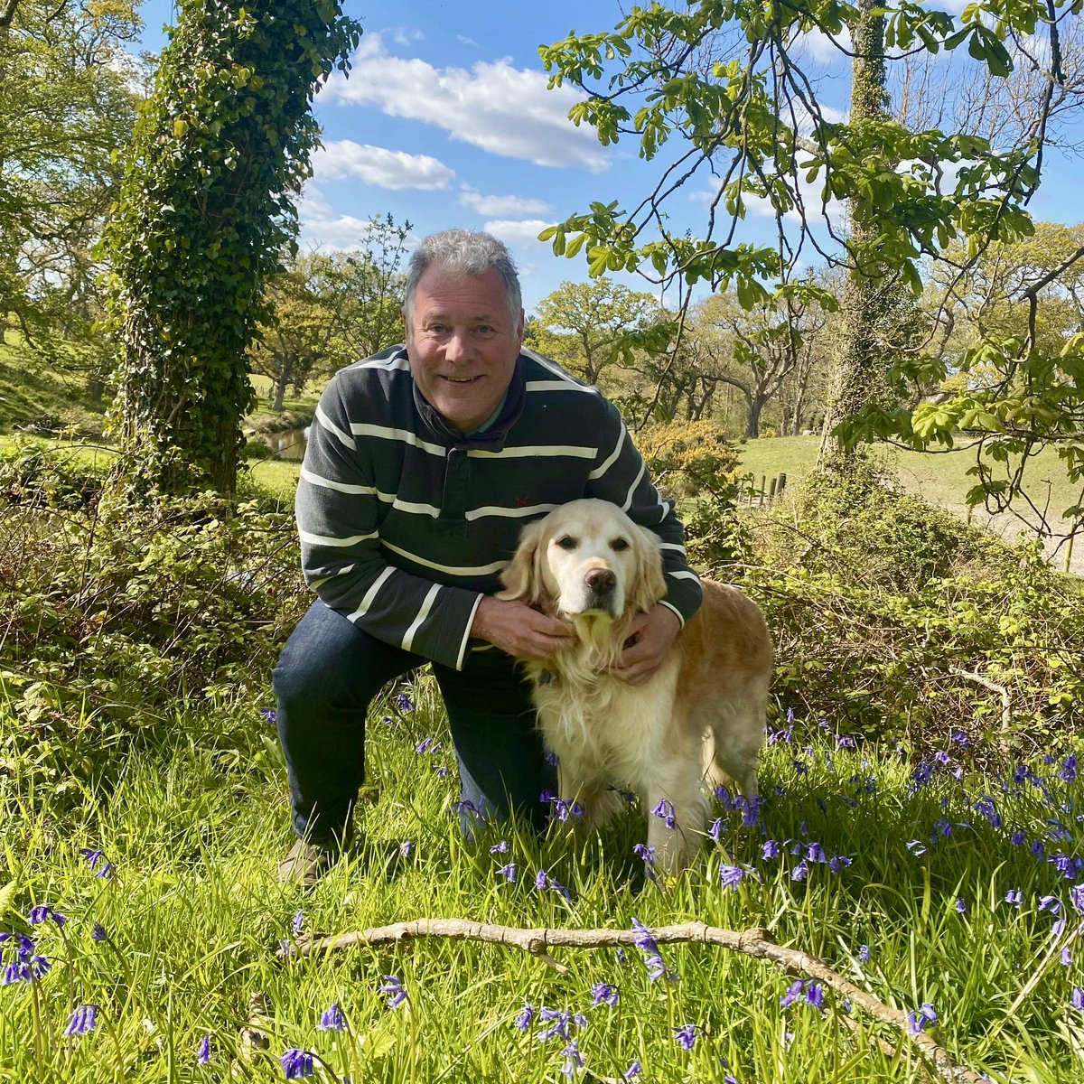 🧑🏻‍🦱🐶🌤️ Bluebells, a golden dog and someone who looks like a giant bumblebee. #DogsOfX #GoldenRetrievers 🐕😀🐾