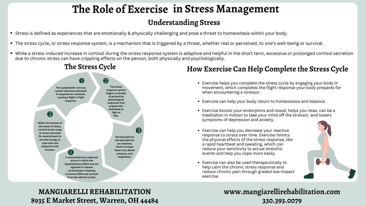 Check out our latest #infographic on completing the #stresscycle with #exercise: bit.ly/completing-str…

#stress #stressrelief #stressmanagement 
#stressreliever #chronicstress
#stressawareness #chronicstressresponse #nationalstressawareness #nationalstressawarenessmonth