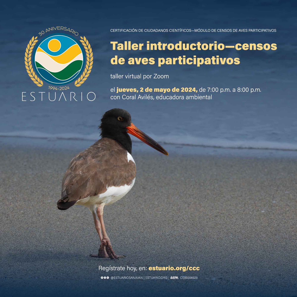 Ven al próximo taller de introducción a censos de aves participativos, el jueves, 2 de mayo de 2024, de 7:00 p.m. a 8:00 p.m. a través de Zoom, con Coral Avilés, educadora ambiental. Regístrate hoy, en: estuario.org/ccc — #puertorico #calidaddeagua