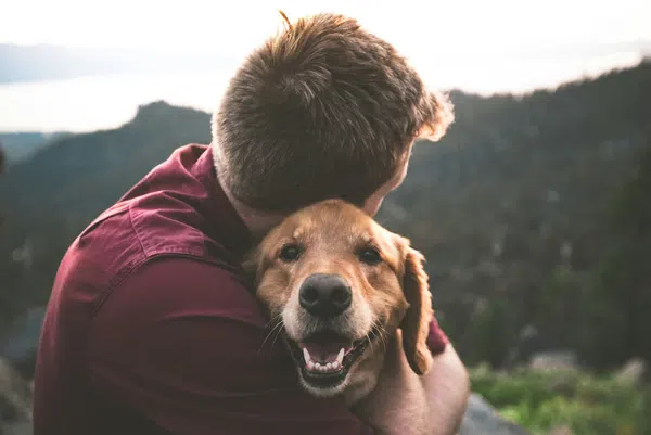 Can Your Furry Friend Ease Your Eco-Anxiety?  We want to know. Please complete this 2-minute survey. As a thank you for participating, you'll be entered for a chance to win a $50 Petco gift card. #onlinesurvey #giveaway #ecanxiety surveymonkey.com/r/ZWG3HKY