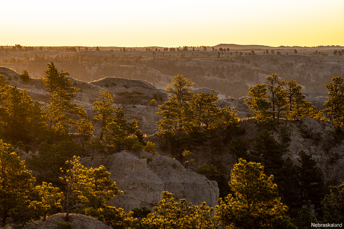 Today marks Chadron State Parks 103rd anniversary! Chadron State Park was established by a legislative act approved April 25, 1921. This act set aside a section of school land as the first Nebraska State Park. 📷: @NEBland_Haag