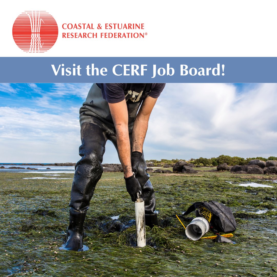 Looking for the next step in your Coastal and Estuarine career? Become a CERF member today and get access to some of the top positions in the field. Apply for your next job today! cerf.science/job-board #CoastalScience #MarineScience #Estuaries #Careers #JobSearch