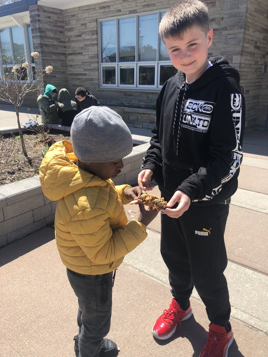 Mrs. George (@ridgeview1b) on Twitter photo Building strong structures with our Gr. 5 learning buddies-making bird feeders on this beautiful day <a href="/RidgeviewPS/">Ridgeview P.S.</a> <a href="/RidgeviewPSCncl/">Ridgeview PS Council</a> <a href="/PeelSchools/">Peel District School Board</a> Building strong structures with our Gr. 5 learning buddies-making bird feeders on this beautiful day <a href="/RidgeviewPS/">Ridgeview P.S.</a> <a href="/RidgeviewPSCncl/">Ridgeview PS Council</a> <a href="/PeelSchools/">Peel District School Board</a>